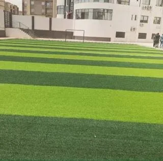 ملاعب كرة قدم عشب صناعي