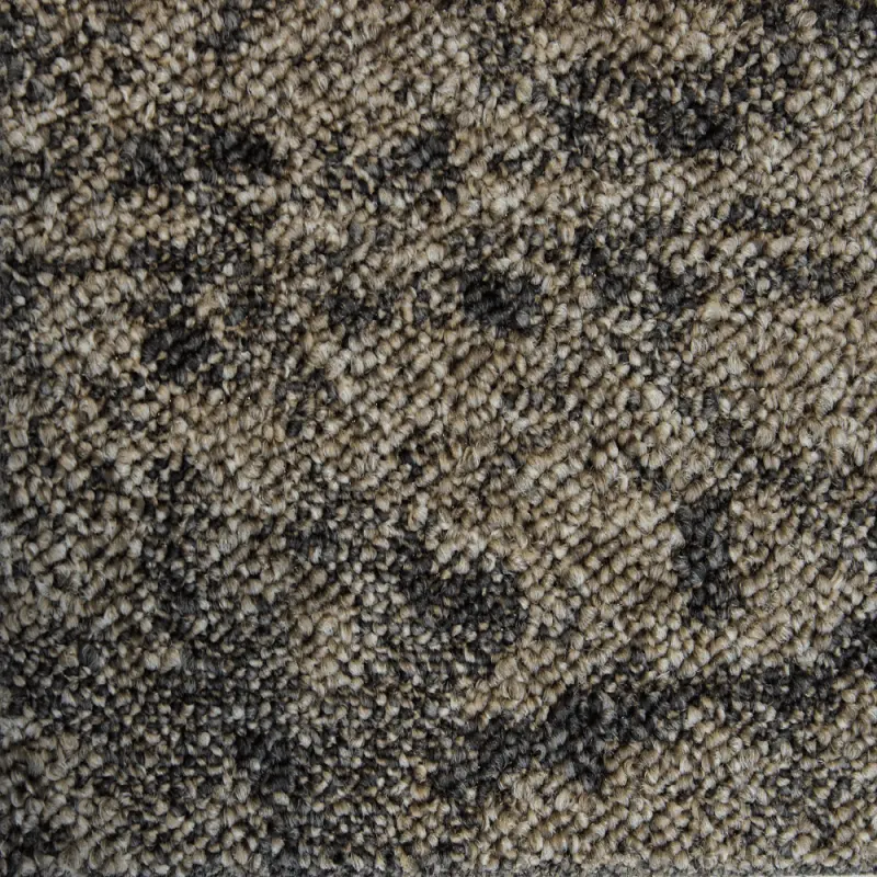 ALS-P0131-10-3