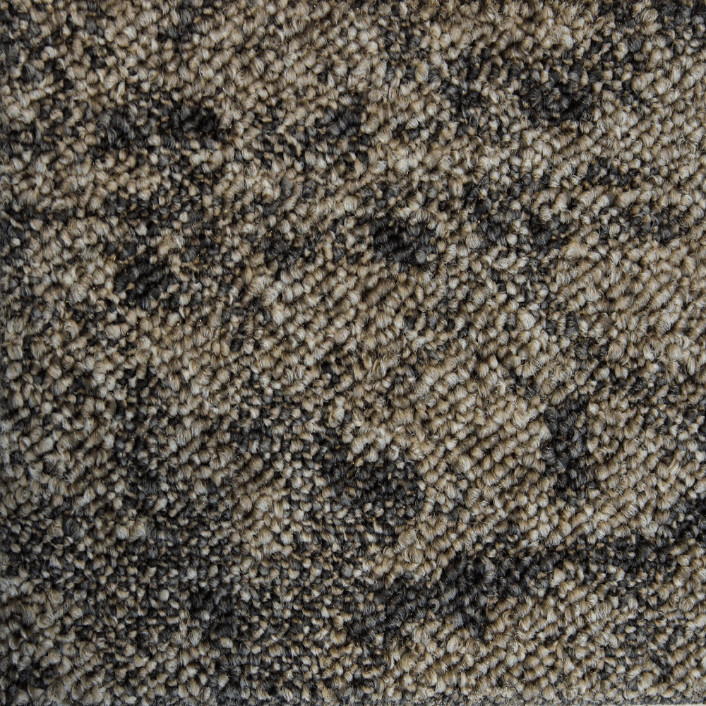 ALS-P0131-10-3