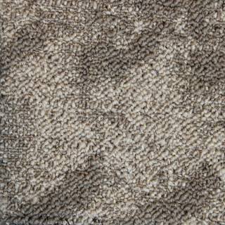 ALS-P0131-10-2