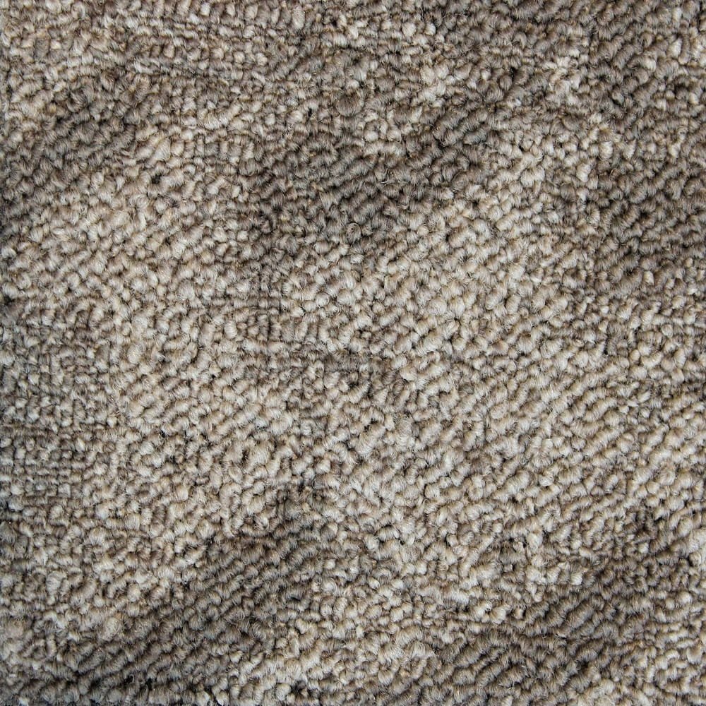 ALS-P0131-10-2