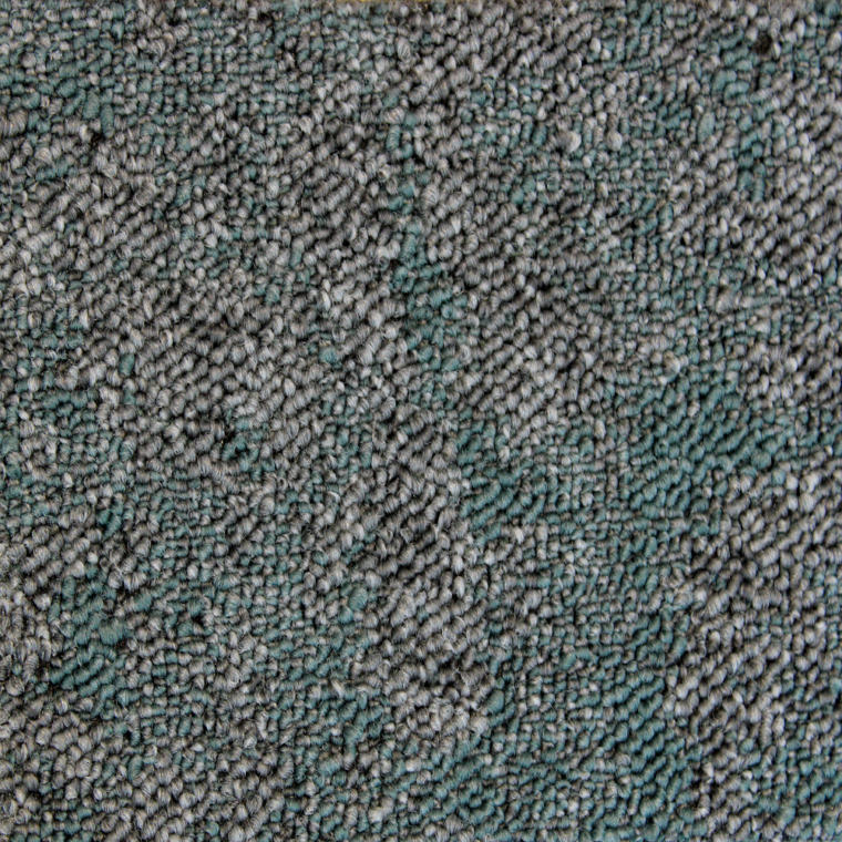 ALS-P0131-10-1