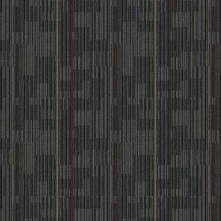 ALS-P0031-679