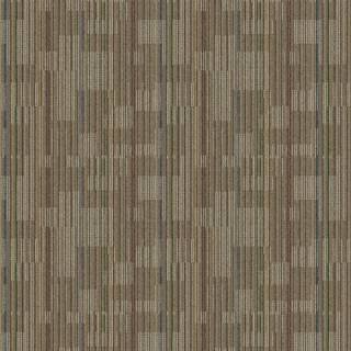 ALS-P0031-695