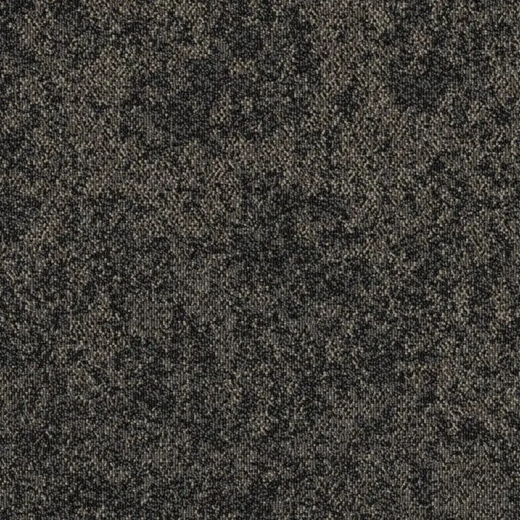 ALS-P0016-549