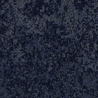 ALS-P0016-558