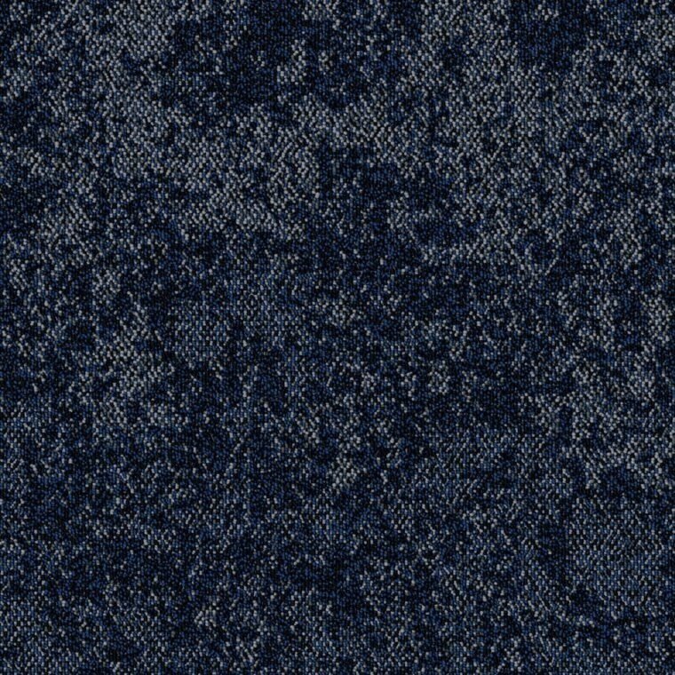 ALS-P0016-558