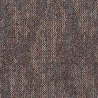 ALS-P0003-185