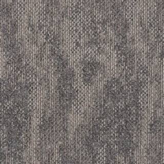 ALS-P0003-685