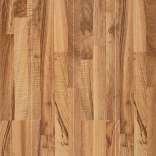 ALS-P0101-6528