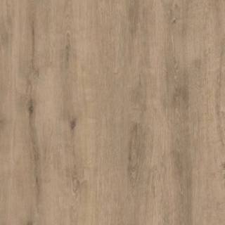 ALS-P0170-5002