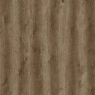 ALS-P0170-5007