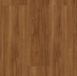 ALS-P0170-2104