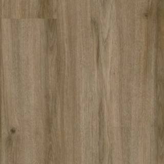 ALS-P0169-715