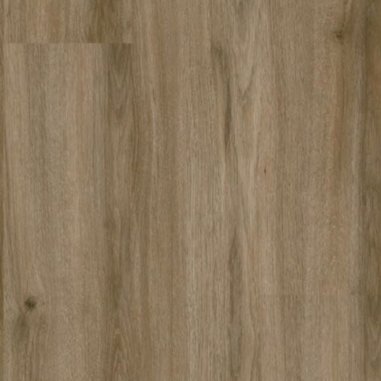 ALS-P0169-715