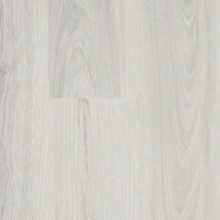 ALS-P0169-1505