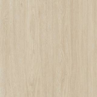 ALS-P0144-101