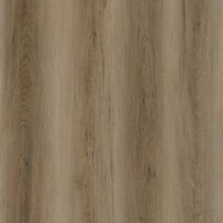 ALS-P0144-104