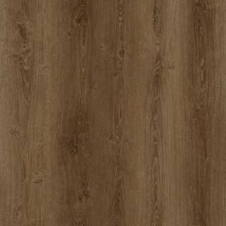 ALS-P0144-107