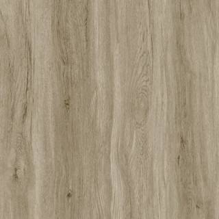 ALS-P0144-108