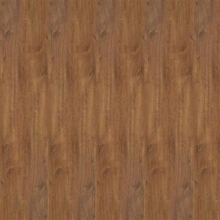 ALS-P0113-558