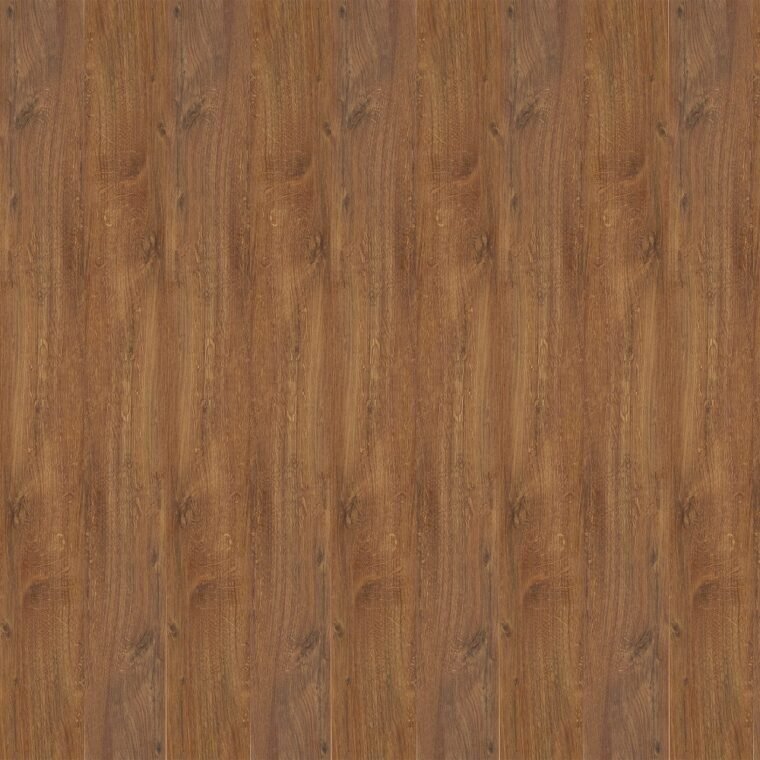 ALS-P0113-558