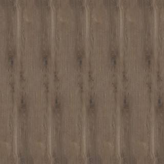 ALS-P0113-646