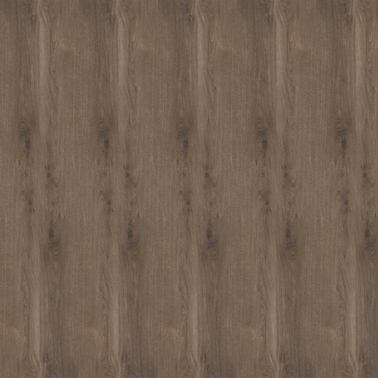 ALS-P0113-646