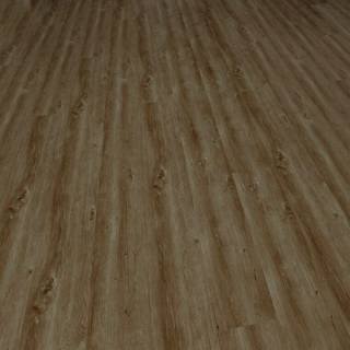 ALS-P0094-1069