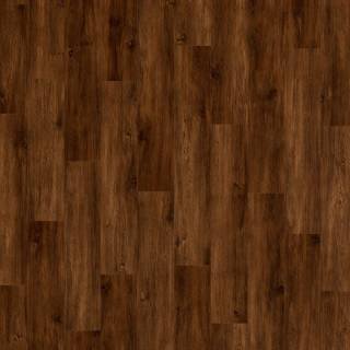 ALS-P0094-1036