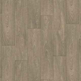 ALS-P0025-5569146