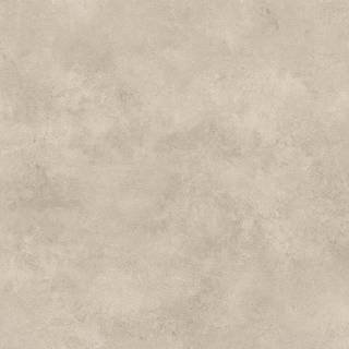 ALS-P0036-5203440