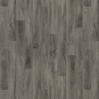ALS-P0036-5203086