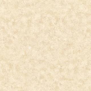 ALS-P0026-5589002