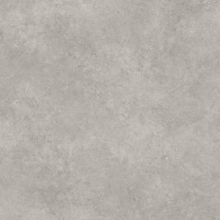 ALS-P0026-5589121