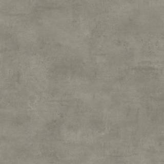 ALS-P0026-27013401