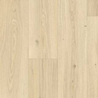ALS-P0026-240008020