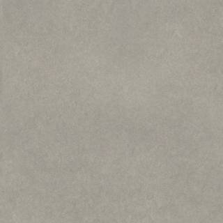 ALS-P0005-240006005