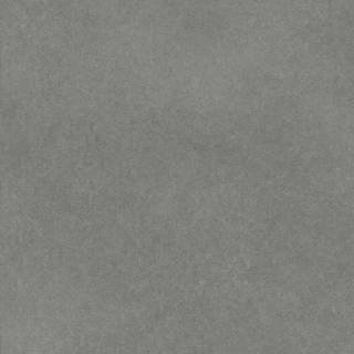 ALS-P0005-240006006