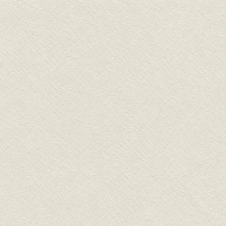 ALS-P0005-240006004