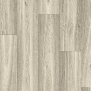 ALS-P0004-240006310