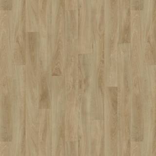 ALS-P0078-5633027-760x760
